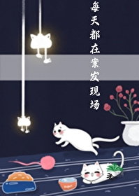 每天都在案发现场