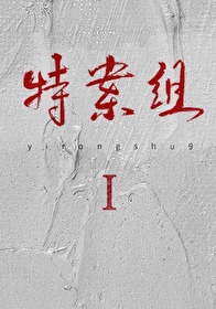 特殊案件调查组